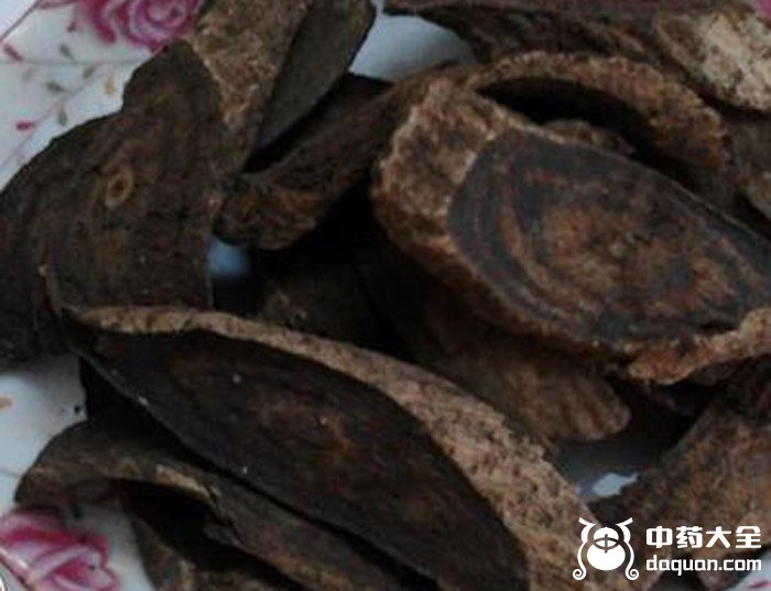 黑皮跌打 黑皮跌打