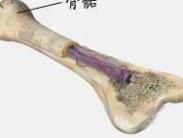 先天性半側肥大 先天性半側肥大