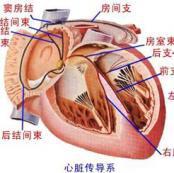 房室傳導阻滯 房室傳導阻滯